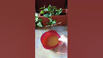 عصير البصل الطازج Food Shorts عصير بصل علاج 