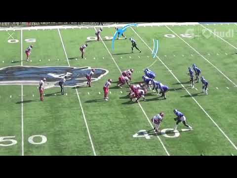 Mikey Davis NFL/CFL