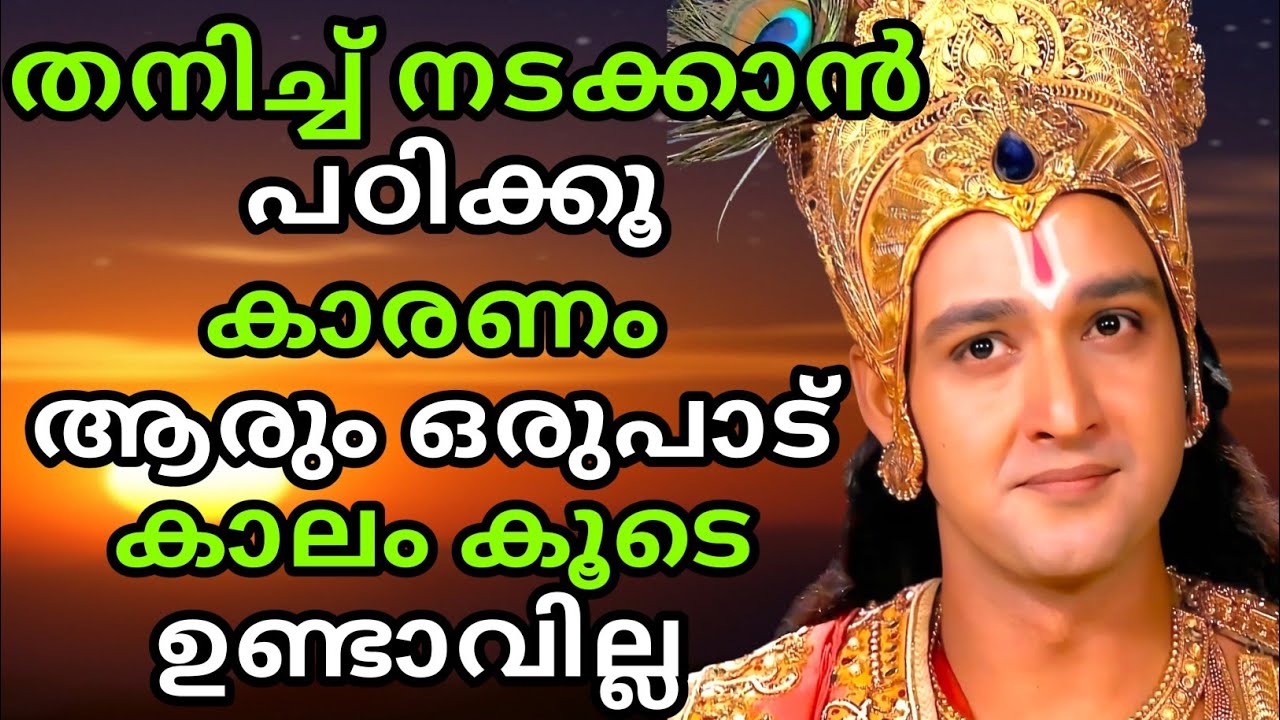 നിന്റെ വഴി നീ തനിച്ച് കണ്ടെത്തൂ | Bhagavad githa malayalam | Gita Saaram | krishna