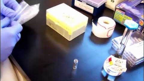 LC-MS Simple Operation College Training Video Part 2.wmv