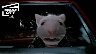 Stuart Is Chased By Cats Stuart Little Michael J. Fox, Chazz Palminteri