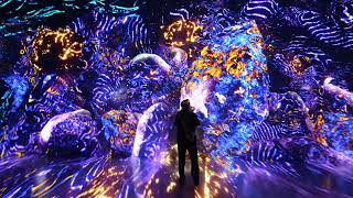 ARTECHOUSE HOUSTON Ask Artechouse What Is Hex Code