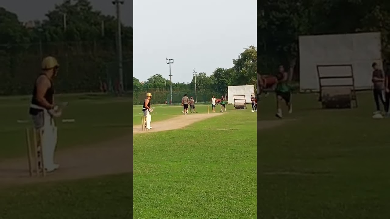Late Cut Shot In Cricket 