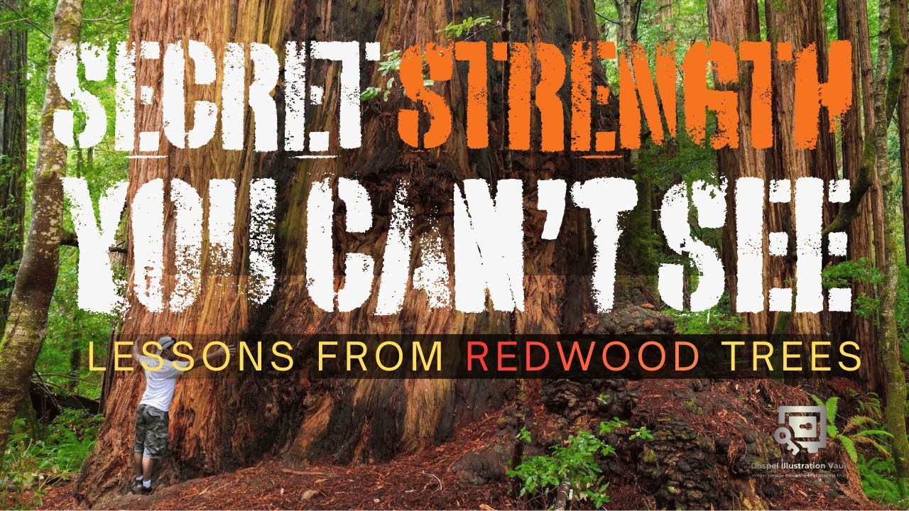 SECRET STRENGTH YOU CAN'T SEE