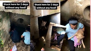 Dog stuck here for 2 days without any food || Help street dog by Cute animal things 95 views 2 years ago 47 seconds
