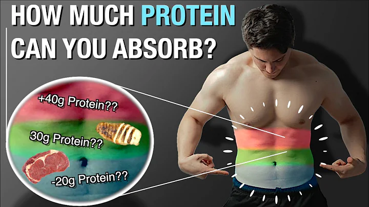 How Much Protein Can Your Body Use In A Meal? | Protein Absorption Explained