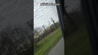 #NikisNature #Nature #love #life #live #happy #Lol #funny #cool #wow #Video #YouTube #tiktok #art