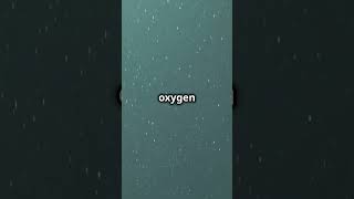 Phytoplankton: Tiny Ocean Heroes