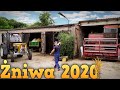 Żniwa 2020 ROZPOCZĘTE 🌾  Koszenie Pszenicy & Zjazd Z Pola ✔ Massey Ferguson 86 [Harvest 2020] MST