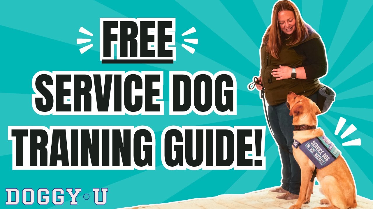 Complete Guide to Training Your Own Service Dog! - YouTube