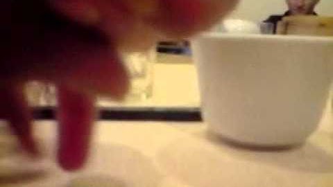 Auckland YUM CHA