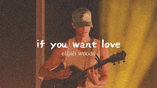 歌詞 和訳 elijah woods「if you want love」