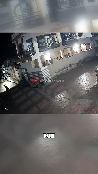 Singa liar di tengah jalan pemukiman warga