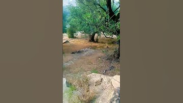 القرآن الكريم استمع للقرآن الكريم ثواني تلاوة مباركة للقارىء الشيخ محمد علي سليمان