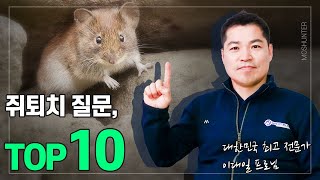 쥐퇴치 하고 싶다면? 가장 궁금한 질문 TOP10 | 최고 전문가가 다 알려드립니다!