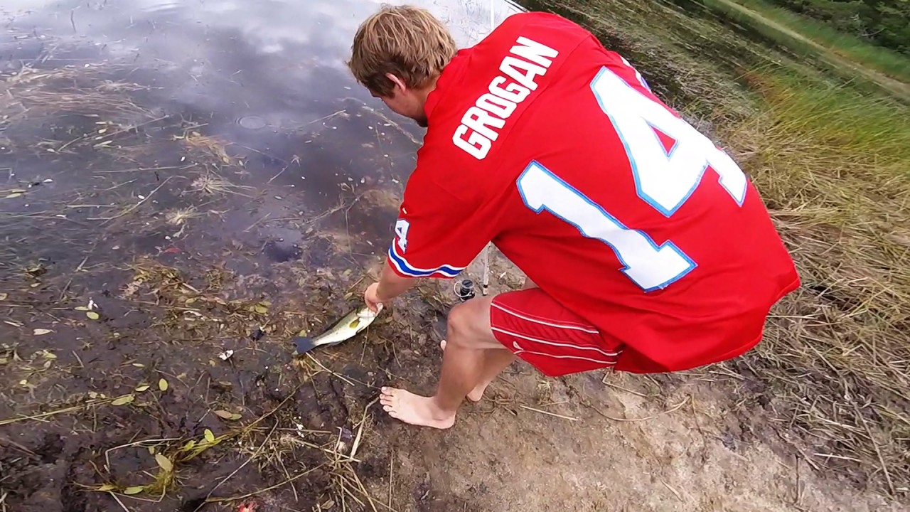 Gone Catchin' with Grogan