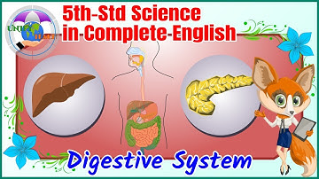 5th Std | Science | Term-1 | Unit-01 | Organ Systems | I | 1.1 | Digestive System | Complete English