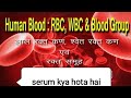 HUMAN BLOOD. (Part-1). What is Serum. kya hota h serum.