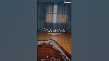 #القرآن_الكريم #سورة_القصص #ياسر_الدوسري