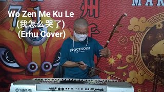 Miniatura de "Wo Zen Me Ku Le (我怎么哭了) (Erhu Cover)"