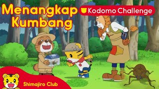 Menangkap Kumbang | Petualangan | Kartun Anak| Shimajiro Indonesia