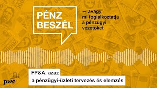 FP&A, azaz a pénzügyi-üzleti tervezés és elemzés | A pénz beszél