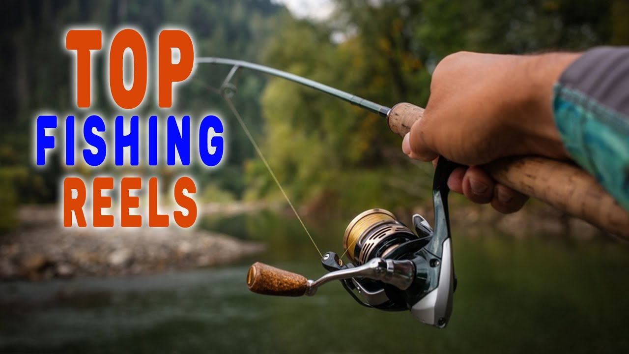 Best Fishing Reels for The Money – Ranked and Reviewed! 