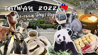 Amazing Taipei Zoo, Maokong Gondola, Linjiang Night Market | Taiwan 2022 Day 1 Vlog