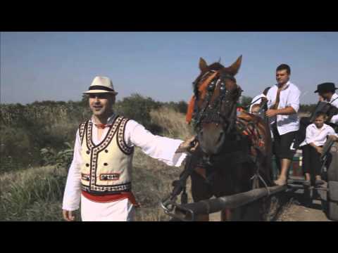 Daniel Trifu-
