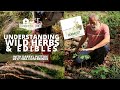 Understanding Wild Herbs & Edibles | Darryl Patton, Homesteaders of America 2017