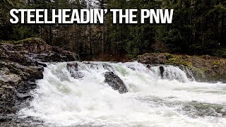 Hunt for Steelhead Continues... Fish of 1000 Casts Ep. 3