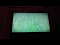 歌ってみた!!NGT48 みどりと森の運動公園