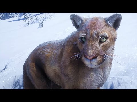 Симулятор Жизни Зверей