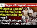 அநுர கொடுத்த கடிதம்.சிக்கலில் மாட்டிய மகிந்த மனைவி |பிரதானசெய்திகள் |22.03.2025 | lankanews