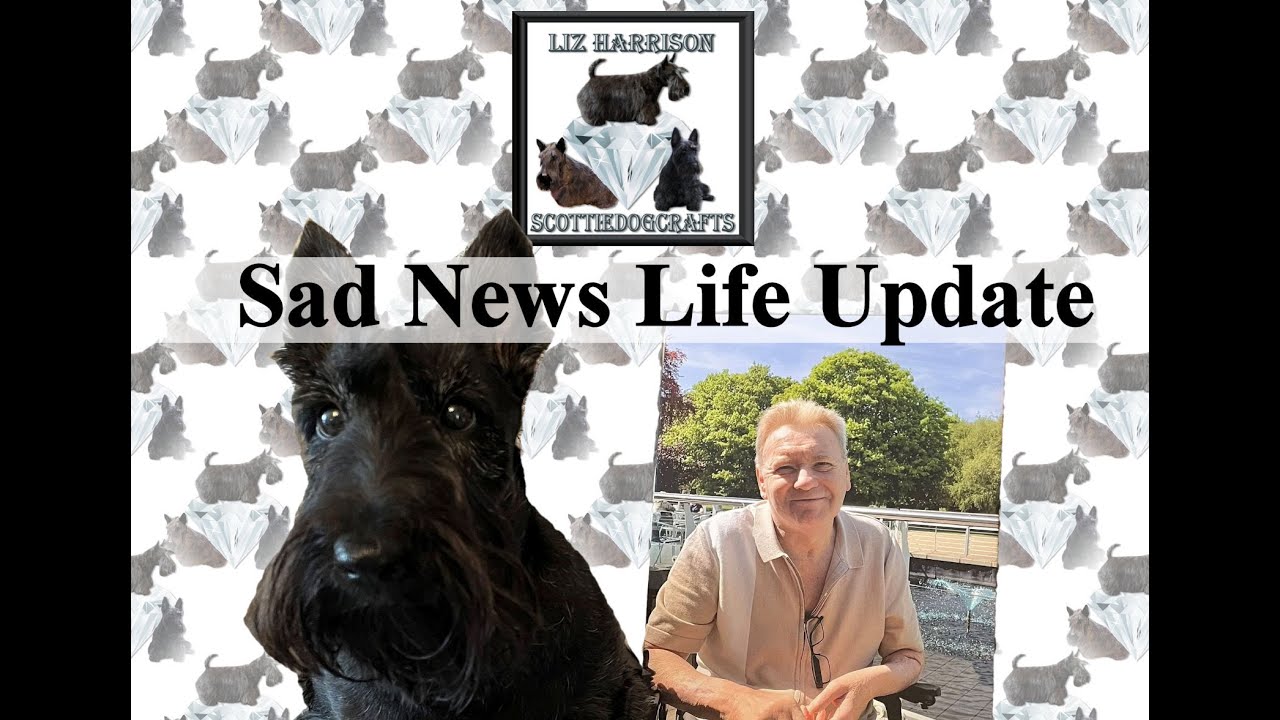 Diamond Painting | Where to start | Guess I’m a Widow now | Onwards and Upwards