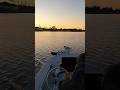 Early Morning Skiff Run With Shawn #tinyboatnation #boating #fishingboat