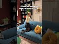 🛋️ Testing Some Furniture 🤓😂 | Filming in Public Be Like...