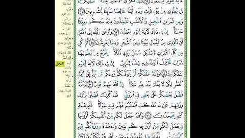 الصفحة (274) من المصحف الشريف ( سورة النحل - مشروع حفظ لقرآن الكريم )