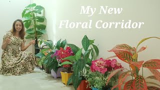 My new Floral Corridor ~ Finding happiness in simple things #simpleliving #enjoylife #happiness