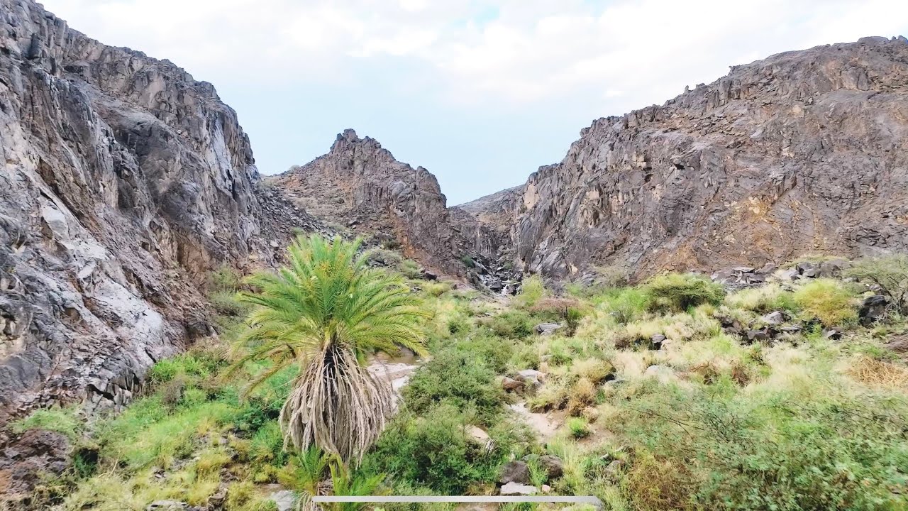 (تصوير جوي 4K) تمشيه في شعاب مغرّة نجران | أمطار ١٤٤٤