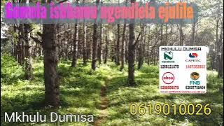 Gomela isbhamu ngendlela ejulile ungadubuleki ungagwazeki