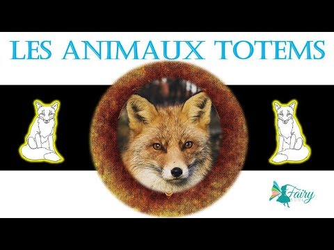 Vidéo: Horoscope Celtique Des Animaux : Renard