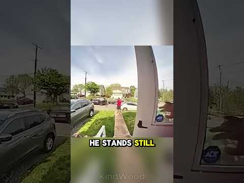 Pizza delivery man turns hero