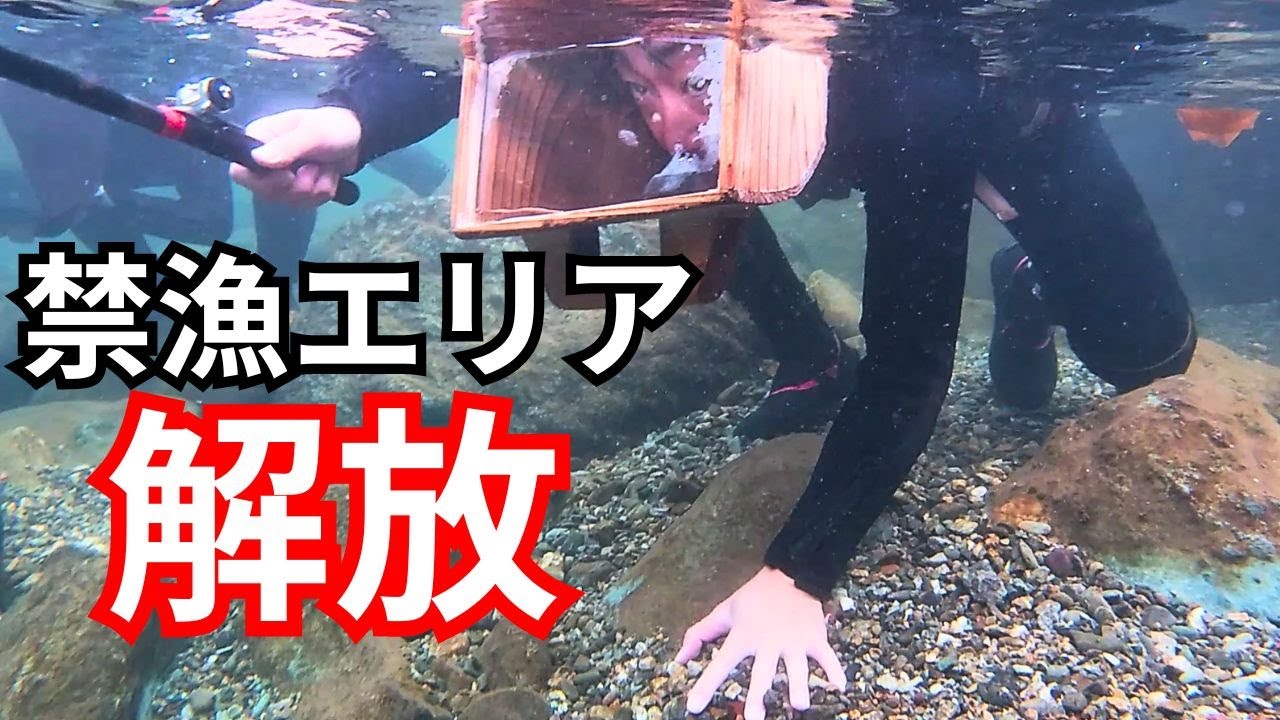 ついに禁漁エリアが解放された！激戦地で鮎をしゃくる