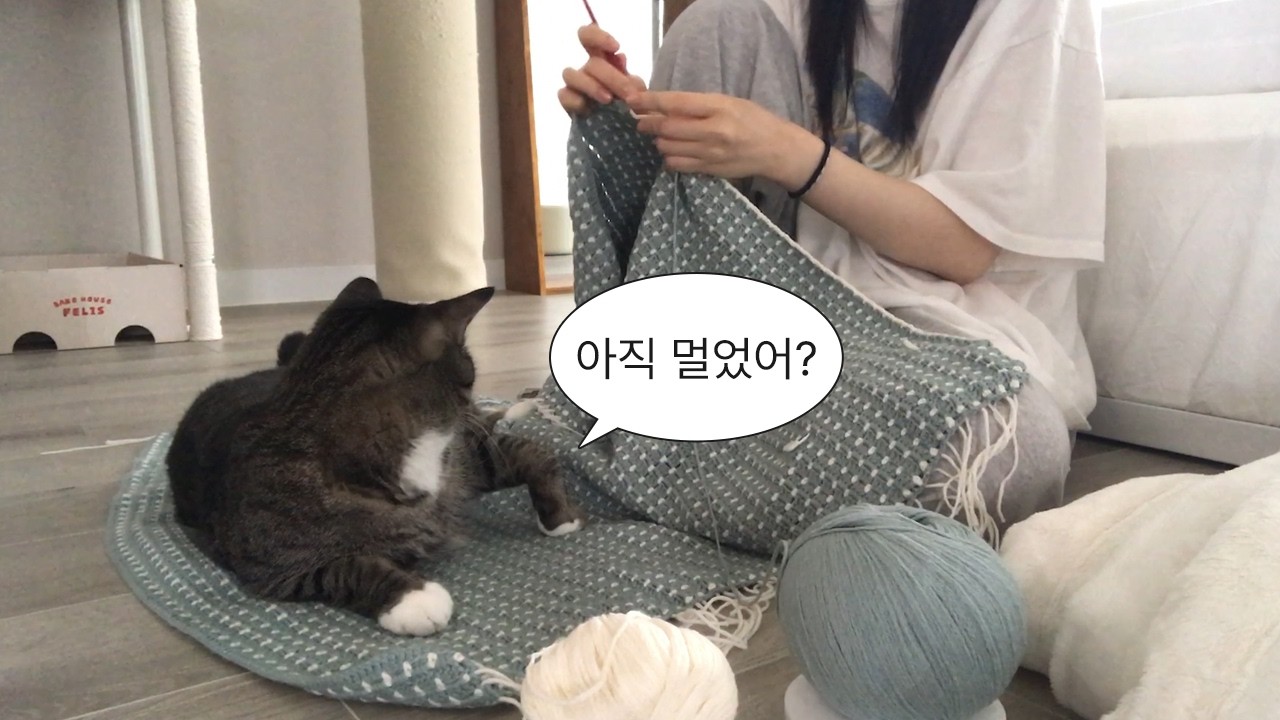 손목 갈아서 고양이 담요 떠주기