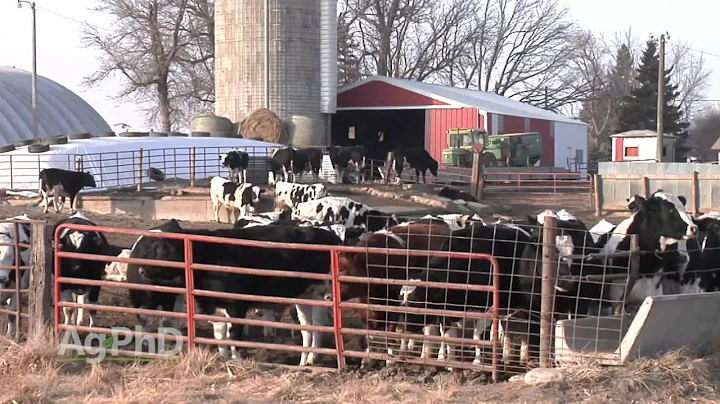 Copper #916 (Air Date 10/25/15)