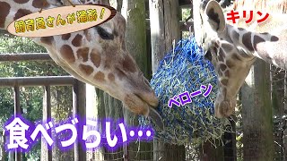 キリンのエサがネットに入っている理由