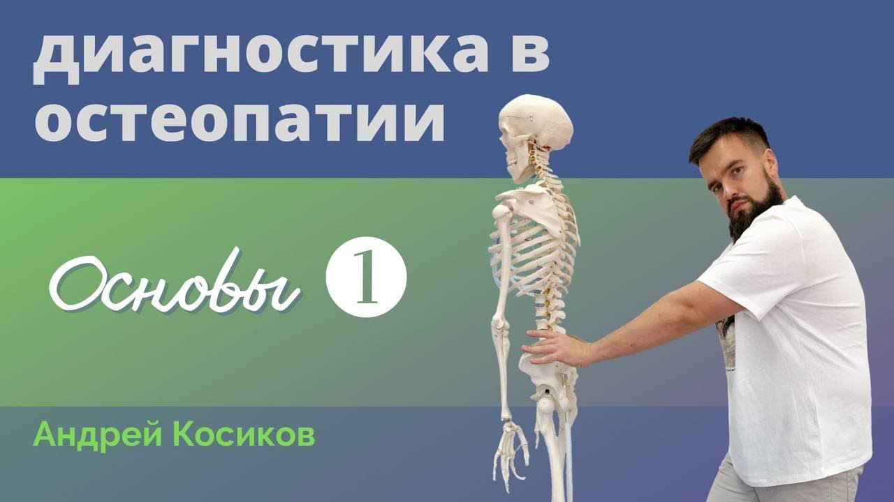 Остеопатия. Основы диагностики - 1. Техники выслушивания. Андрей Косиков