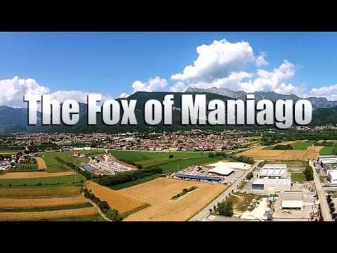 Why It Takes An Entire Village To Produce ONE Knife | The Story of FOX and Maniago Italy