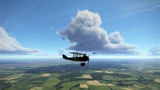 A Joint effort (action from IL2's Flying Circus)